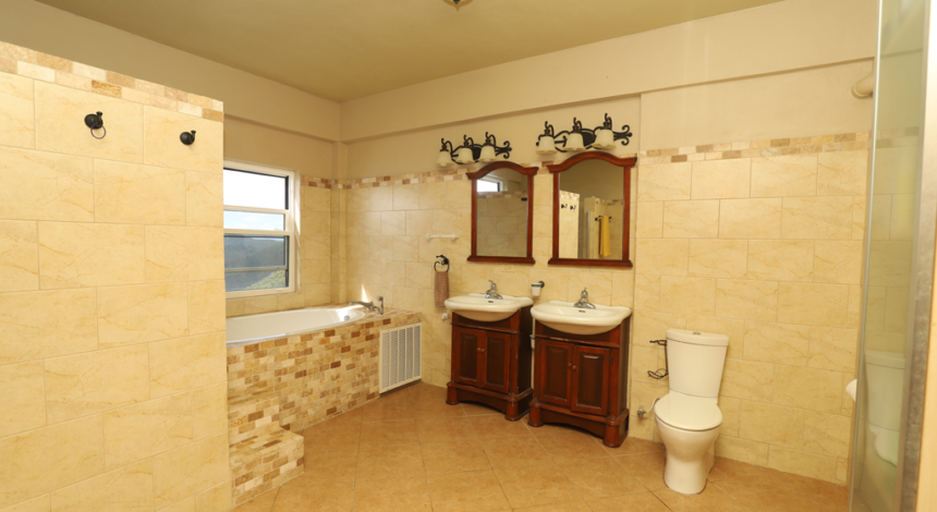 BVI Villa for sale - Guesthouse master bath