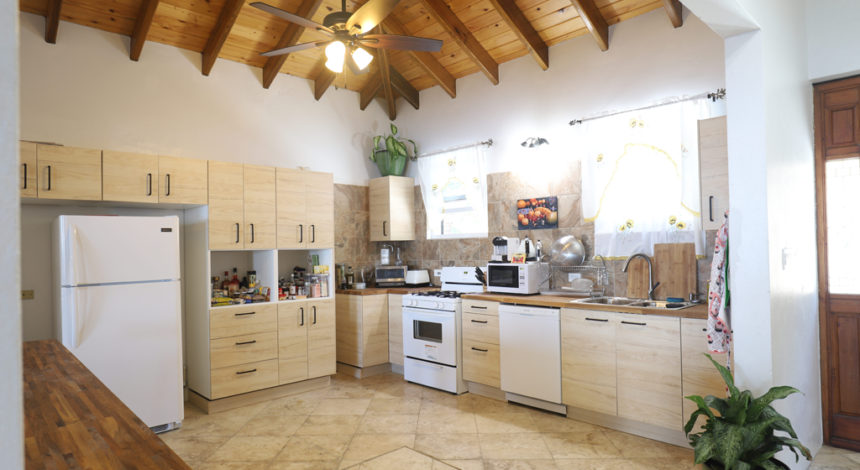 BVI Villa for sale - Main house kitchen